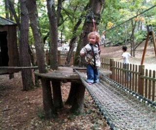  Adventure course for the youngest 